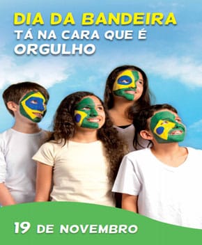 Capa do livro Dia da Bandeira – Senado Federal