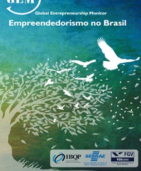 Empreendedorismo no Brasil – Marcus Salusse