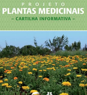 Capa de Plantas Medicinais – Reinaldo Shimabuku
