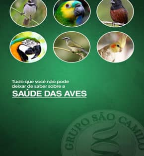 Capa de Saúde das Aves – SCBIOTEC