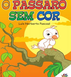 Capa de O Pássaro Sem Cor – Luís Pascoal