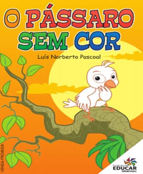 Capa do livro O Pássaro Sem Cor – Luís Pascoal