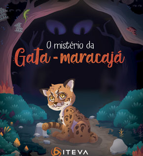 Capa de O Mistério da Gata-maracajá – Anderson Pires