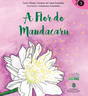 Capa de A Flor de Mandacaru – Elaine Custódio