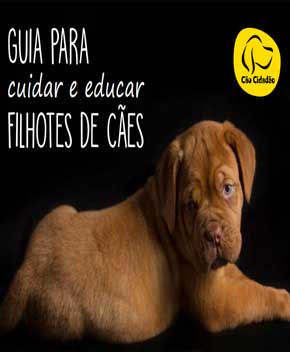 Filhotes de Cães – Cuidar e Adestrar