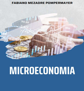 Capa de Curso: Microeconomia – Paulo Mattos