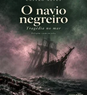 o-navio-negreiro.pdf